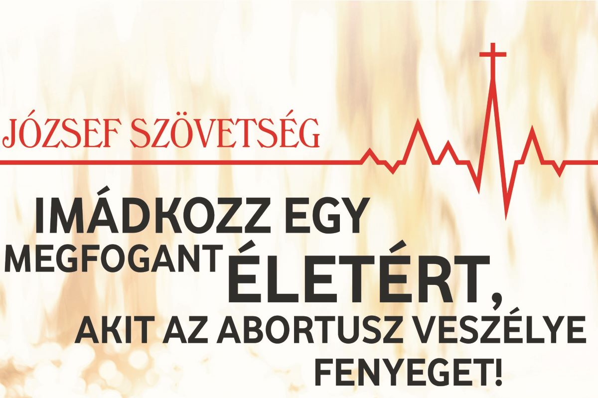 Lelki adoptálás - imádkozz egy megfogant életért